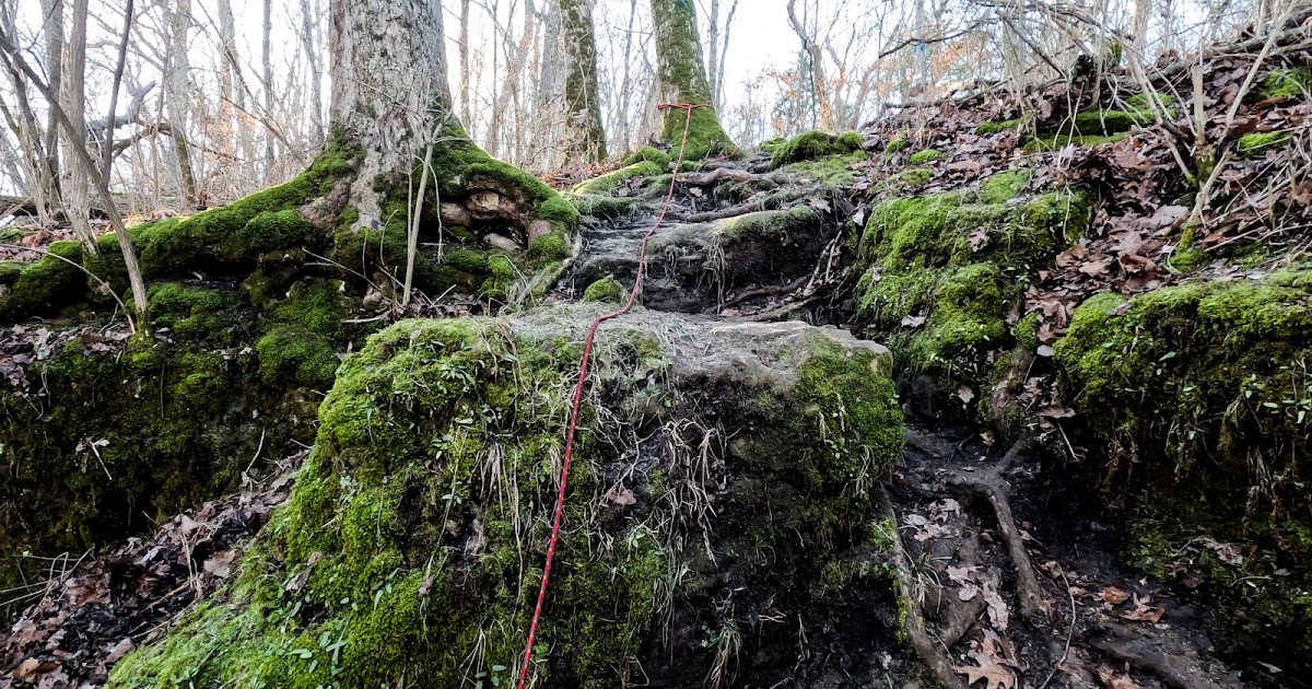 Race Report 2023 The Shippey 100 Mile Endurance Run Ultra Kraut Running